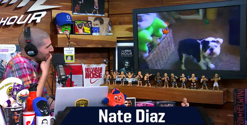 Illustration for article titled Nate Diaz Talks Outrageous Shit, Shows Off His Bongs And Very Cool Dog